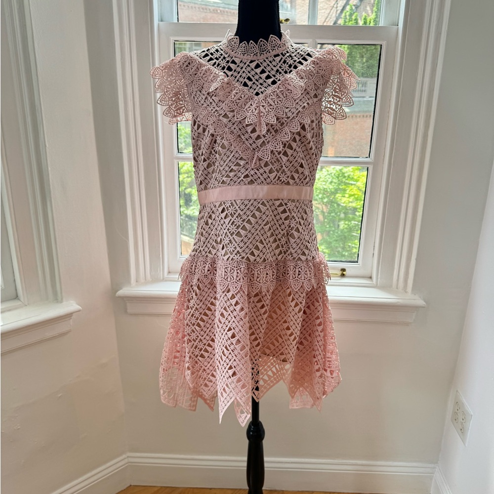 SELF-PORTRAIT Guipure Lace Mini Pink Dress